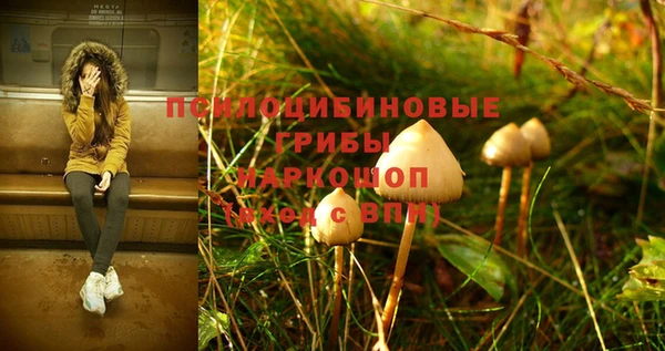 герыч Белоозёрский